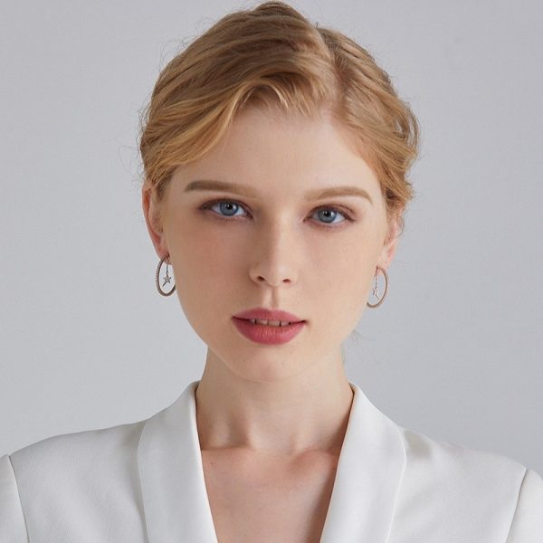 Personality Simple Small Ring Hoop Star Earrings Female Niche Fashion Design Sense Earrings