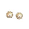 French Pearl Fashion Stud Earrings Women's Light Luxury Temperament Earrings Colorful Pearl Dazzling High-end Niche Design